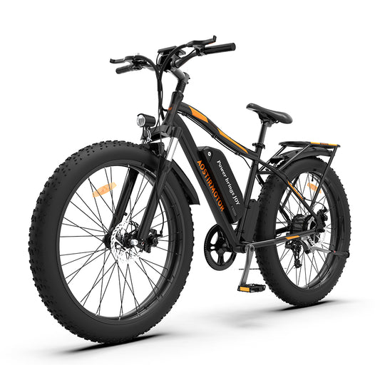 Mountain E-Bike