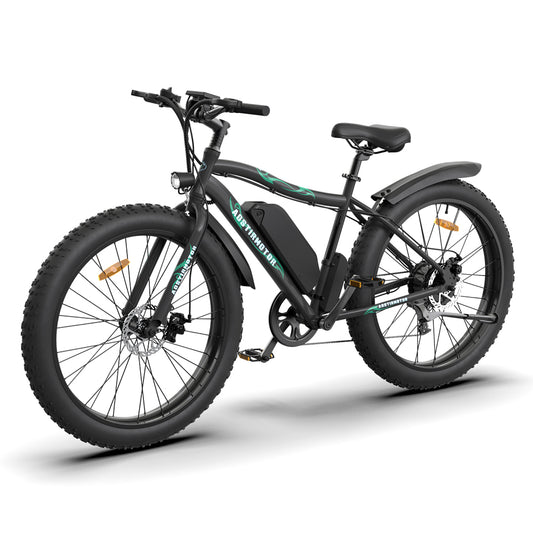 Mountain E-Bike