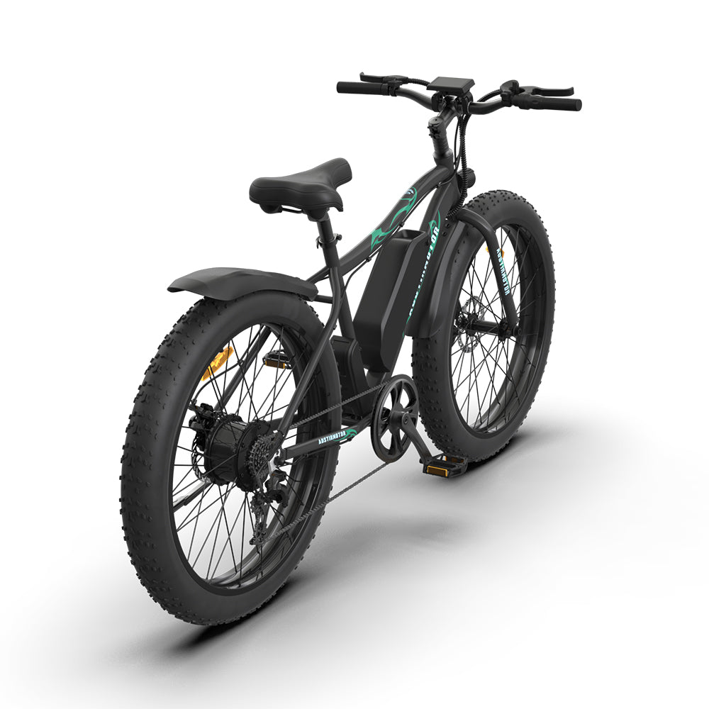 Mountain E-Bike