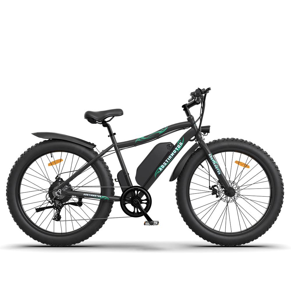 Mountain E-Bike